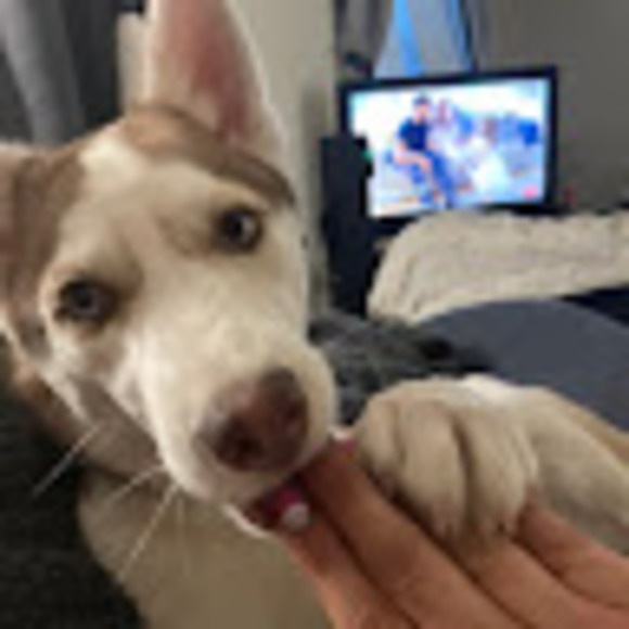 mlentonigr55